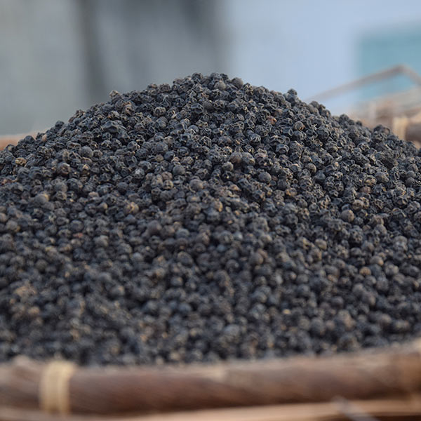 Black pepper