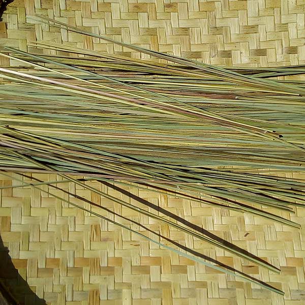 Lemongrass
