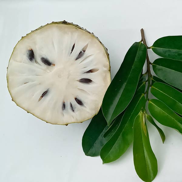 Soursop