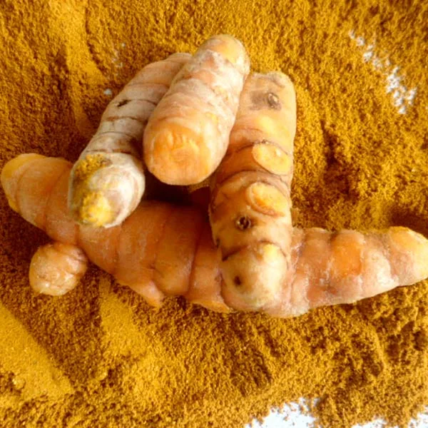 Curcuma